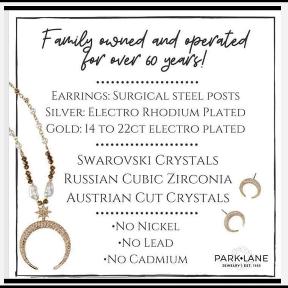 Park Lane Bodacious Necklace and Earrings - Picture 11 of 13